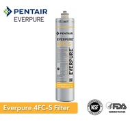 Pentair Everpure 4FC-S Filter Cartridges EV9692-31