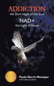 Addiction: the Dark Night of the Soul/ Nad+: the Light of Hope Paula Norris Mestayer