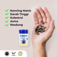 Habbatus sauda magblue