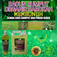 5 LITER RACUN RUMPUT ORGANIK BAROKAH TAHAN 6 BULAN RUMPUT TAK TUMBUH