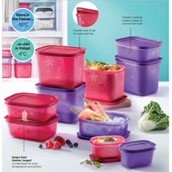 Tupperware Chill-Freez Set (2)