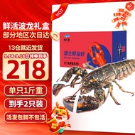 渔传播【活鲜】波士顿龙虾大波龙鲜活500g/只*2只 中秋礼盒礼品源头直发