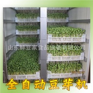 Saddle Mountain Large Automatic Bean Sprout Machine Commercial Bean Sprout Machine Multifunctional B