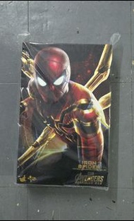 Hottoys Iron spider mms482 #marvel AVG