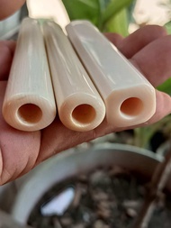 PIPA ONCE GG LOKAL CALING SEDANG TEBAL