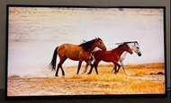 Panasonic 43吋 43inch TH-43MX700H 4K Android Smart TV 智能 電視