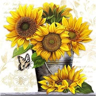 Painting Kit D Painting Resins Crystal Rhinestone Kits for Adults Canvas Arts Craft Wall Stickers Ho