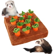 Ferret Foraging Toys Novelty Carrot Snuffle Mat Interactive Pet Treat Enrichment Toys for Small Anim