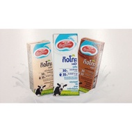 F&N MAGNOLIA GINGKOK MILK Thai (HALAL)