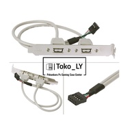 2/4 PORT USB EXTENSION SLOT FOR PC DESKTOP 2.0 9PIN REAR BACK