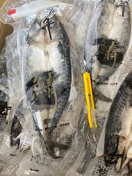 F252 挪威鯖魚一夜干(約300g/隻)*2隻 【海鮮/火鍋/燒烤/冷凍/生鮮】
