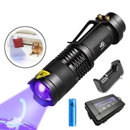 UV LED Zoomable Flashlight Torch Light 365nm / 395nm Ultra Violet Black