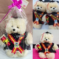 30 CM boneka wisuda beruang teddybear PAKAI KERANJANG  SELEMPANG  KOTAK MIKA  buket boneka wisuda  p