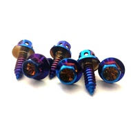 M4 M5 Burnt Titanium Screw Iron Die Thread Pointed Screw Self-Tapping Screw White Iron Titanium-Plat