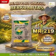MR 219 RICE SEEDS 5KG PACKAGING BEST QUALITY