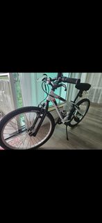 Rockrider Mountain Bike