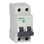 Easy9 -Automatic circuit breaker 2P63A C(EZ9F34263) SE