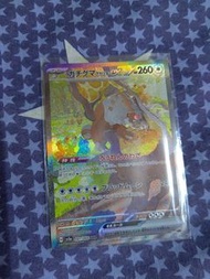 月月熊 sar 日版 $200