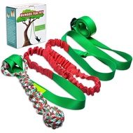 Outdoor Bungee Tug Toy, Dog Toy Hanging from Tree, Interactive Exercise Play Rope Cord &amp; Tether Tug, Durable Spring Pole Rope for Tug of War with Chew Rope Toy