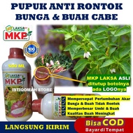 100% AMPUH MKP LAKSA GROW 500ML Pupuk Anti Rontok Bunga dan Buah Cabe Obat Semprot Pupuk MKP Cair Pl