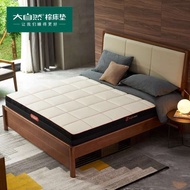 Nature Palm Mattress Z6 Pure Palm Silk Full Palm Mattress Breathable Firm Type Natural Latex Golden 