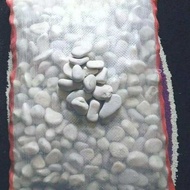 Coral stone per 1 kg white coral stone white garden decorative stone/