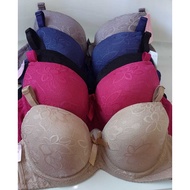 MY women bra 10798-2134 baju dalam wanita berdawai/bra Wired C Cup 32-38C