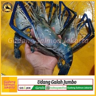 GROSIR Udang Galah Jumbo 1kg isi 4-5 Ekor/ Udang Segar Galah Fres