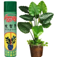 LEAF SHINE SPRAY LEAF POLISH - LIVE PLANT / 600ML