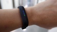 Fitbit Flex 2