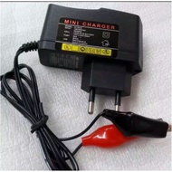 Mini 12V A1 LED light adapter charger