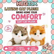 🌈Hug Box Anak Patung Kucing Comel Besar Laying Cat Plush Toy Cat Doll Bantal Kucing Peluk Anak Patun