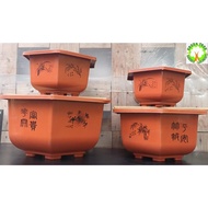 Hexagon Bonsai Plastic Flower Pot / Pasu Bunga Plastic Sedi enam 六角盆景塑料花盆