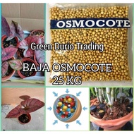 BAJA OSMOCOTE 25KG - NPK 14:14:14  + TEr- OSMOCOTE