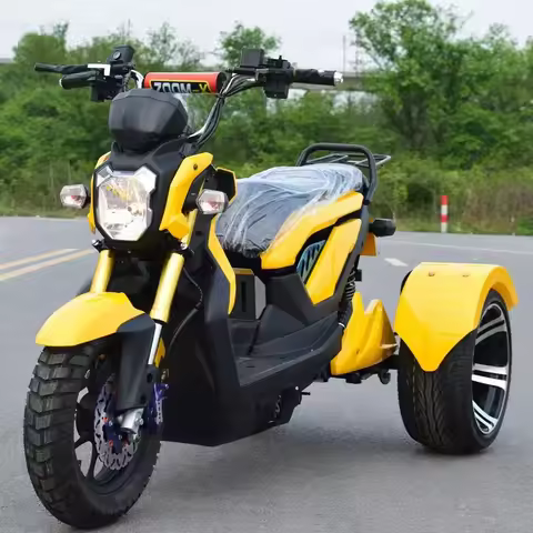 Low Price 3 Wheel Adult 1000W 1500W Open Body Tricycle Old People