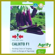 ﹊ ▩ ▧ Calixto Seeds Eggplant EastWest 300 seeds