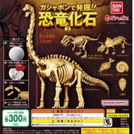 Cat Star People 得 ️ Digging Dinosaur Fossil Plaster Ball P2 Jurassic Tyrannosaurus Model Brachiosaur