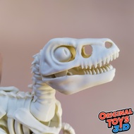 Cuero Mainan Raptor Velociraptor Skeleton Articulated Jurassic world toy orginal