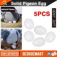 5Pcs Artificial Fake pigeon eggs