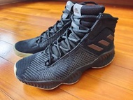 Adidas pro bounce