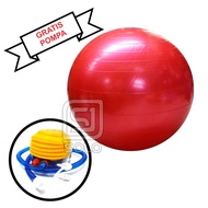 Yoga Ball Gym Ball Fitness Sports Gymnastics Diameter 75 Cm Plus Foot Pump