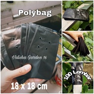 Polybag 18x18 (100 Sheets)