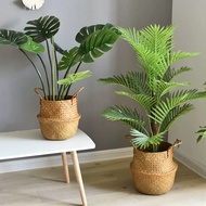 BASKET RATTAN / BAKUL POKOK / PASU BERKAKI / VASE / PASU / BASKET / RAGA RATTAN / PASU BUNGA