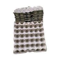 [10PCS] EGG TRAY chicken carton duck/ | Egg tray