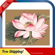 16 x 20 Inch DIY Oil Painting on Canvas Paint by Number Kit Lotus Lily Flower Pattern for Adults Kids Beginner Craft Hom