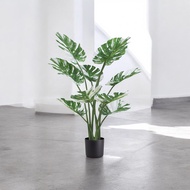 Plant artificial Albino Monstera 120cm home decor garden events Aplant691