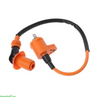 dreamedge12 External Ignition Coil for GY6 50cc 125cc 150cc 250cc Engine Moped Scooter ATV