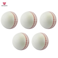 Sports Cricket, Training Cricket, Sports Wind Swing Rebound  Cricket, Elastic Decompression Ball