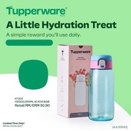 Tupperware H2GO Tumbler 550ml OR 750ml