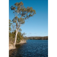 Service edit gambarr